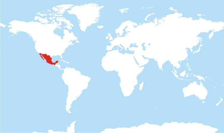 carte du Mexique mondiale