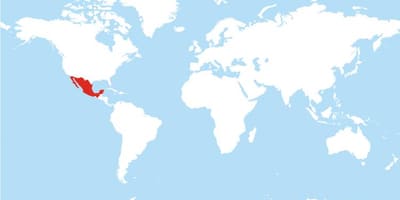 Carte du Mexique mondiale