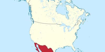 Le mexique et la carte de l'amérique du