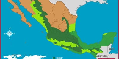 Carte du Mexique forêts
