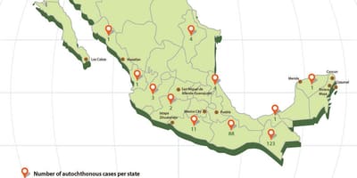 Zika Mexique carte